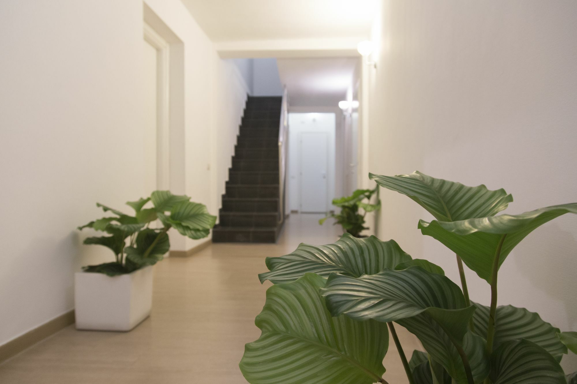 Suite Inn Catania Exterior photo